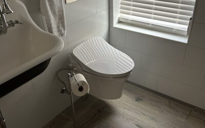 Buying a Home in North Georgia? Get a Plumbing Inspection First