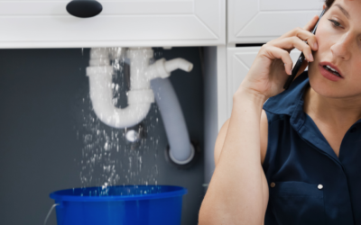 7 Signs of a Hidden Water Leak in Your Dawsonville Home (And What They Cost You)