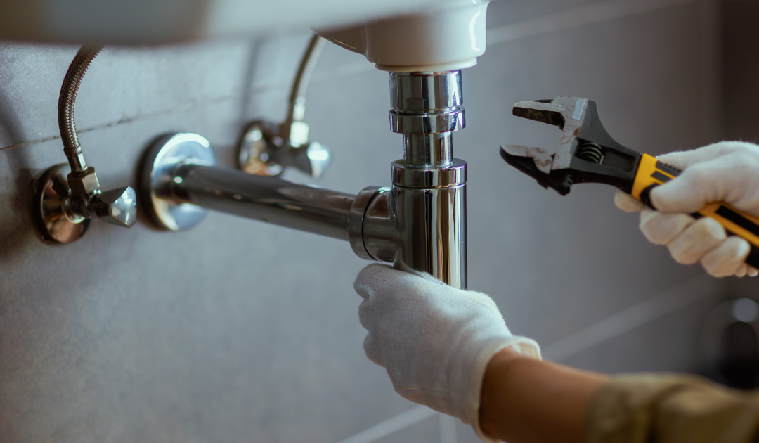 North Georgia Rooter Special