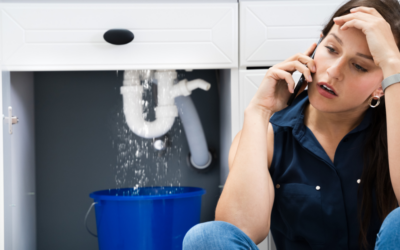 Emergency Plumbing Situations: