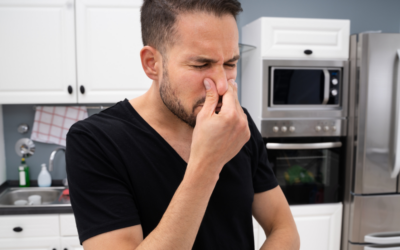 Why does my kitchen sink smell?