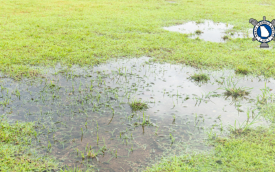 How Heavy Rain Can Overwhelm Your Sewer Line